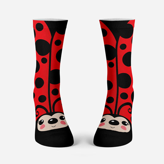 Big Ladybug