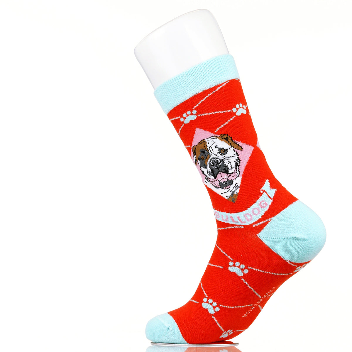 Bulldog | Argyle Pups