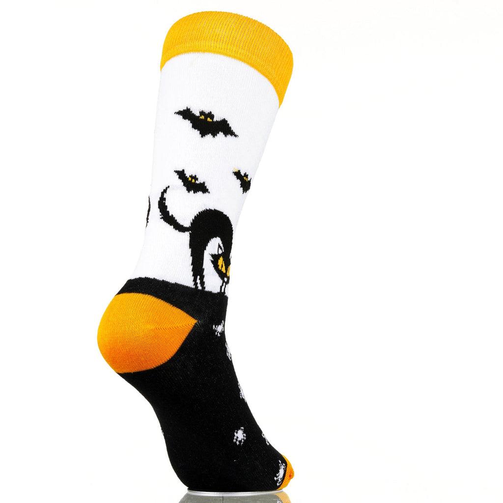 Cats-n-Bats