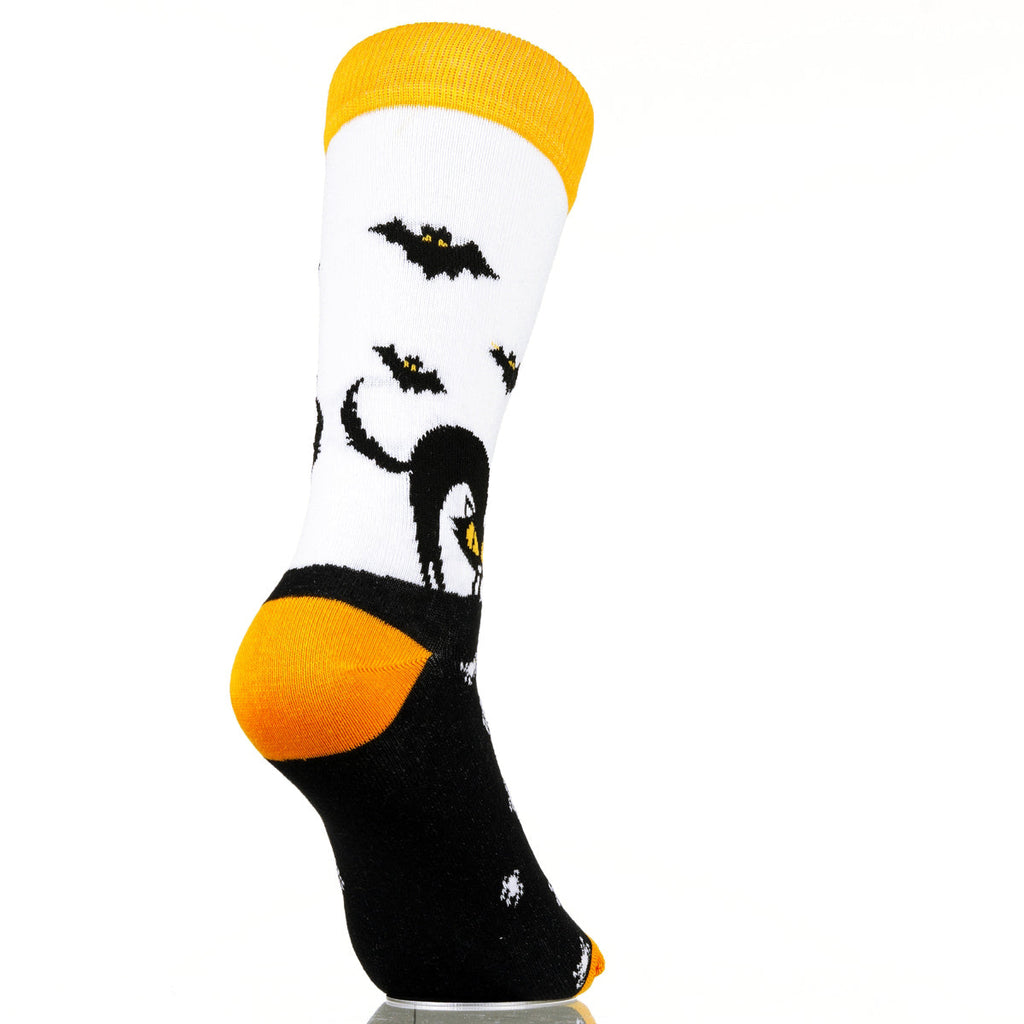 Cats-n-Bats