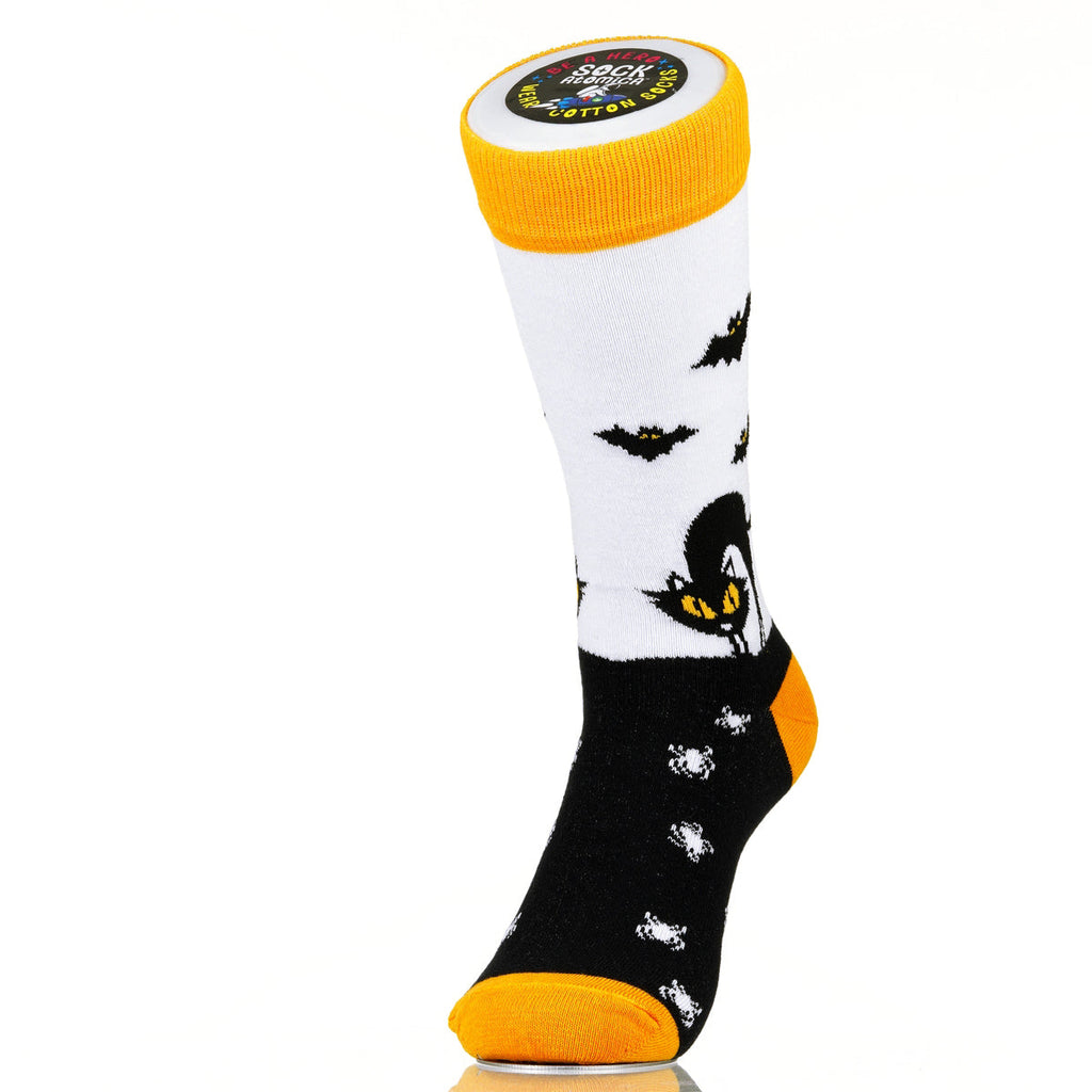 Cats-n-Bats