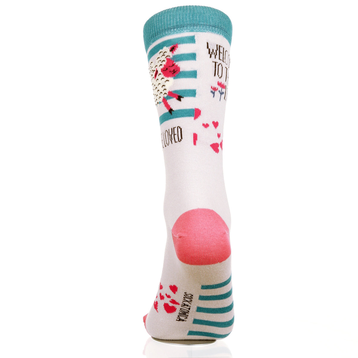 Welcome To The World