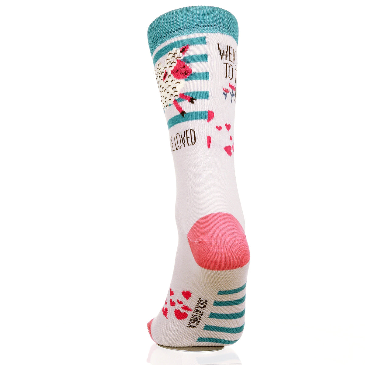 Welcome To The World