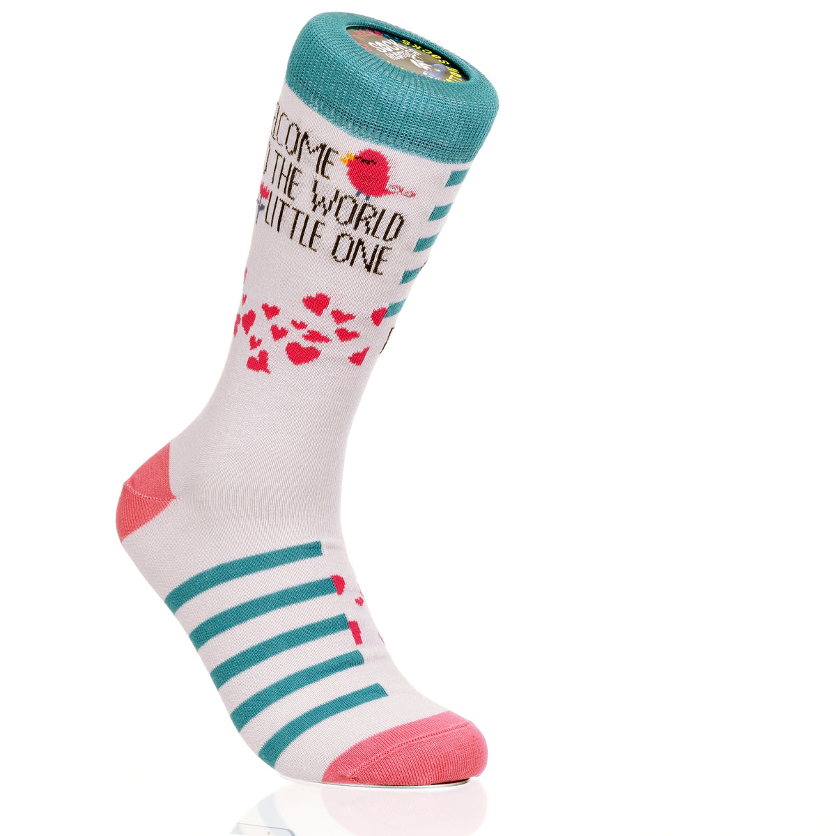 Welcome To The World