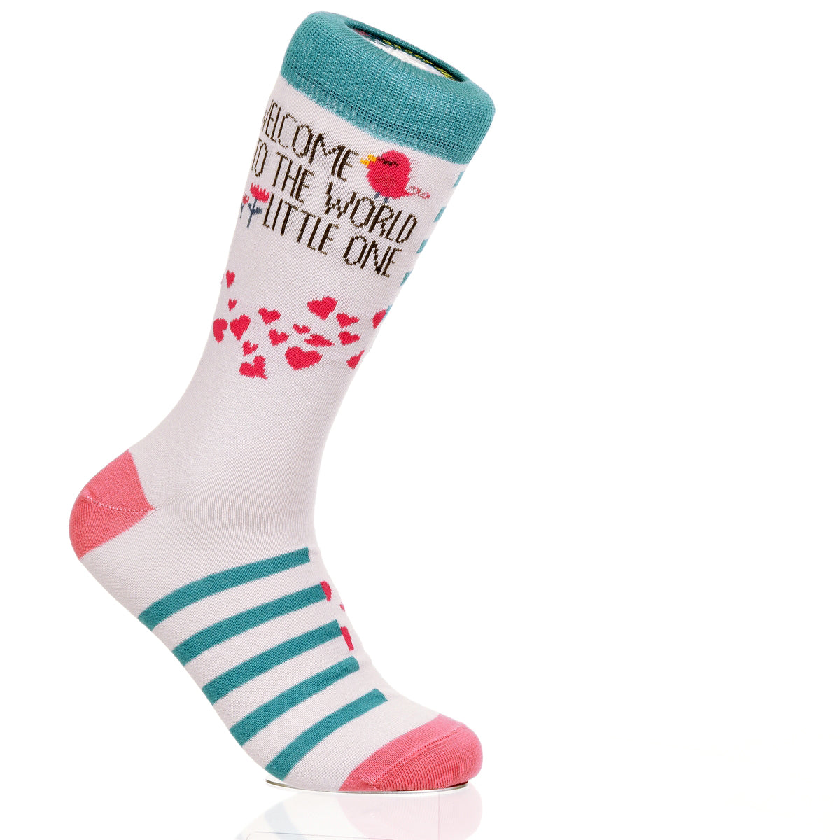 Welcome To The World