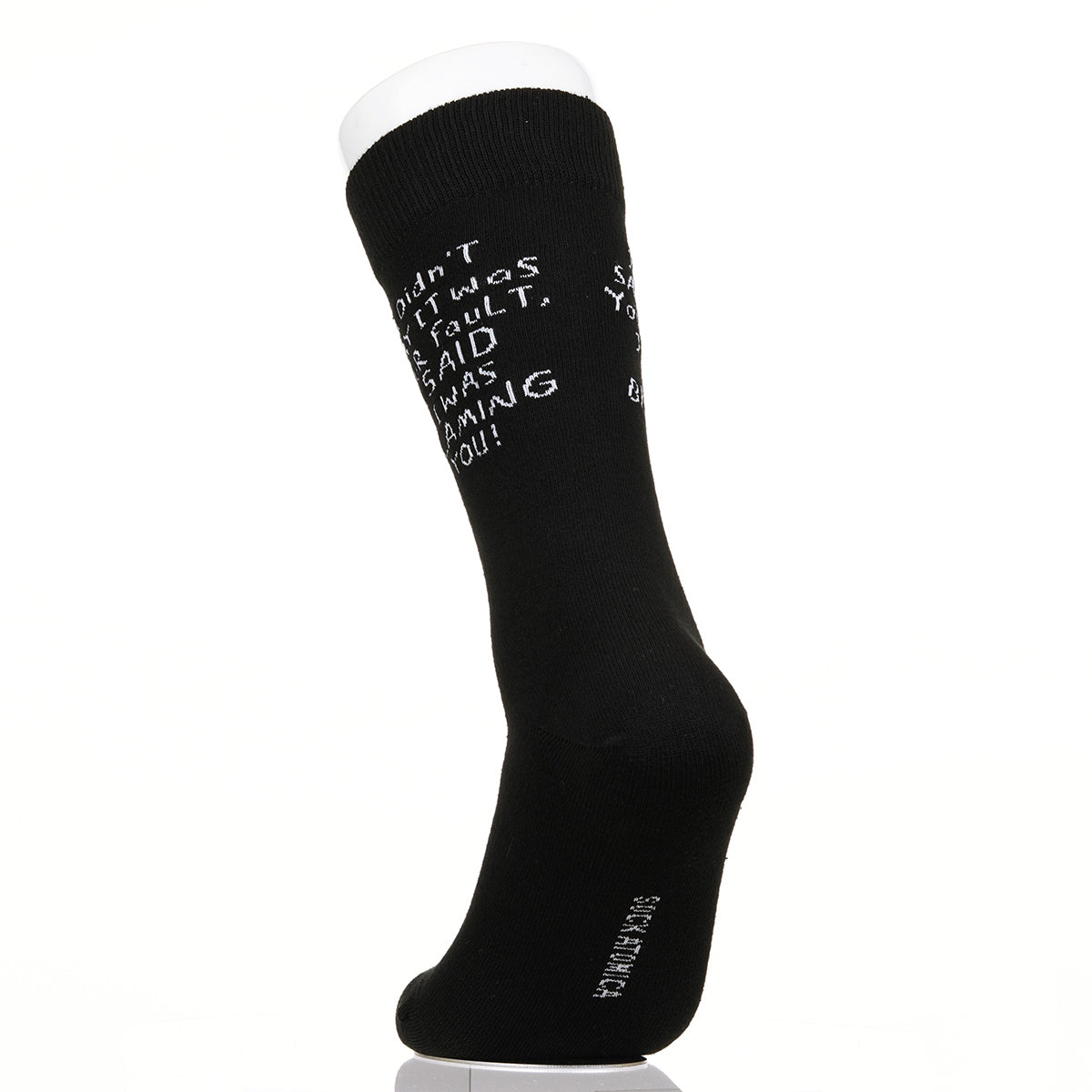 I Didn't Say It Was Your Fault