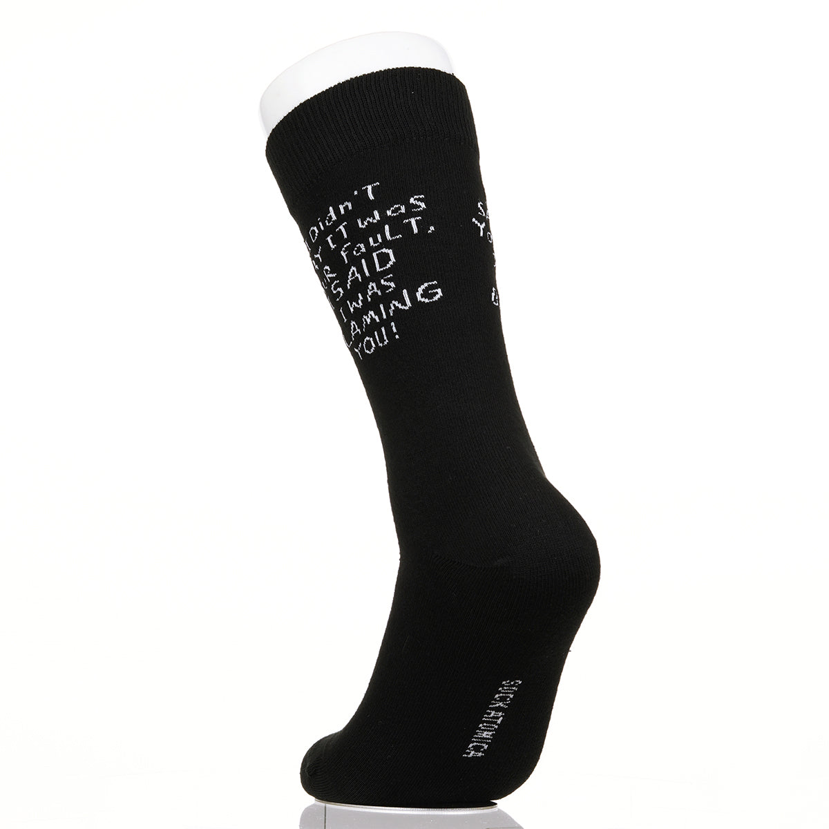 I Didn't Say It Was Your Fault