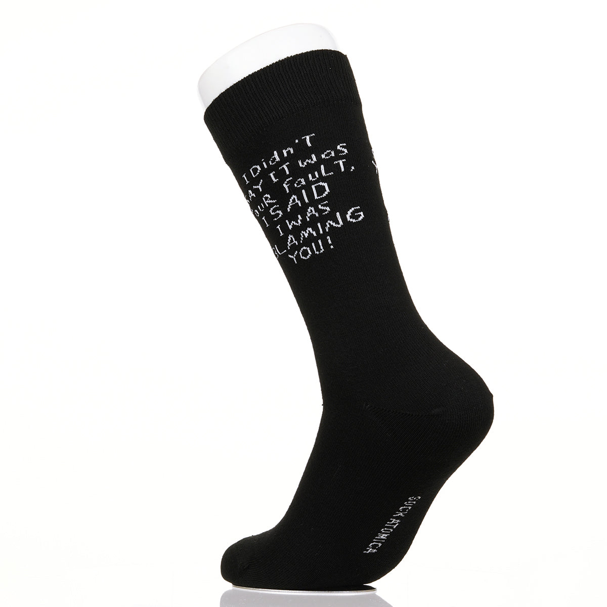 I Didn't Say It Was Your Fault