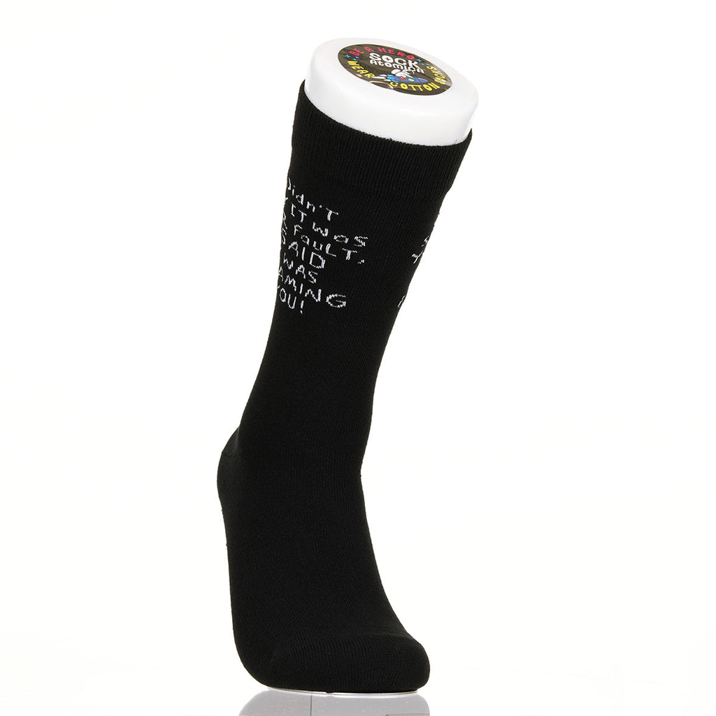 I Didn't Say It Was Your Fault