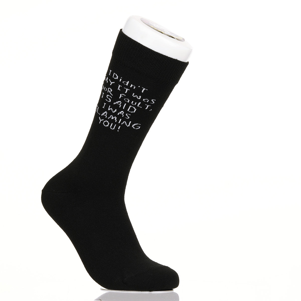 I Didn't Say It Was Your Fault