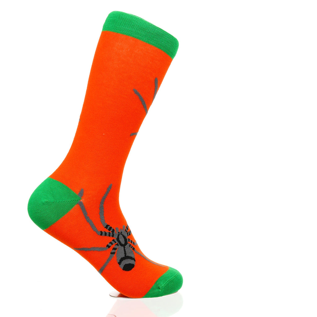 Halloween Spider Crawl