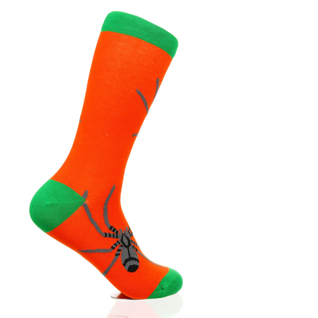 Halloween Spider Crawl