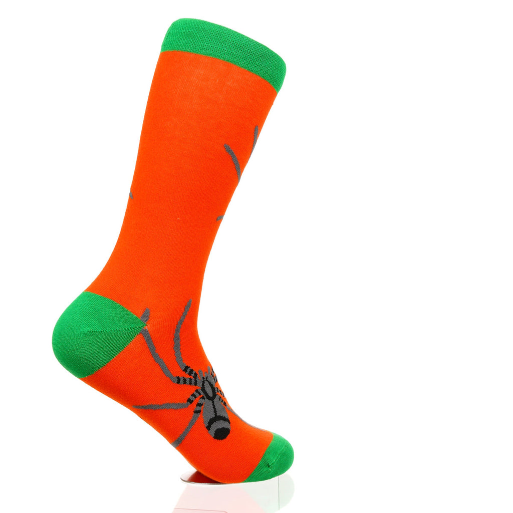 Halloween Spider Crawl