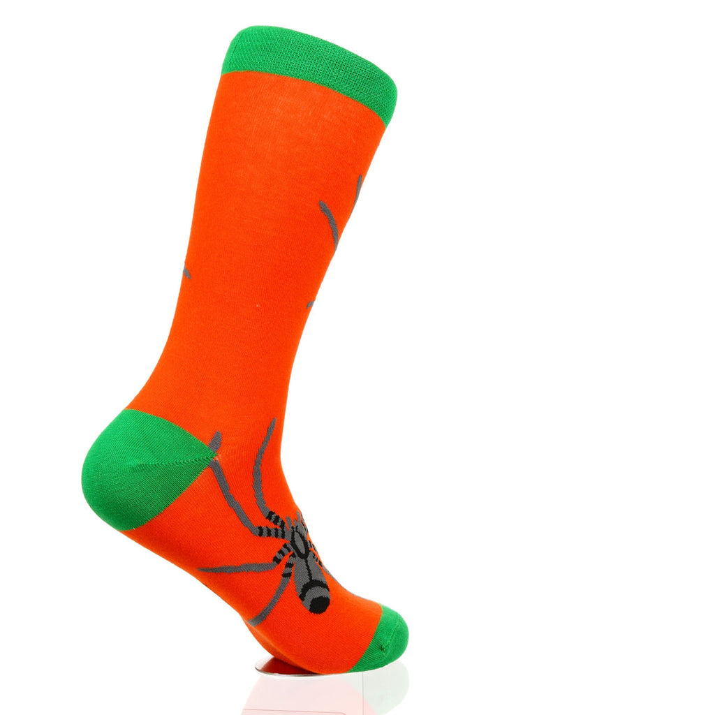 Halloween Spider Crawl