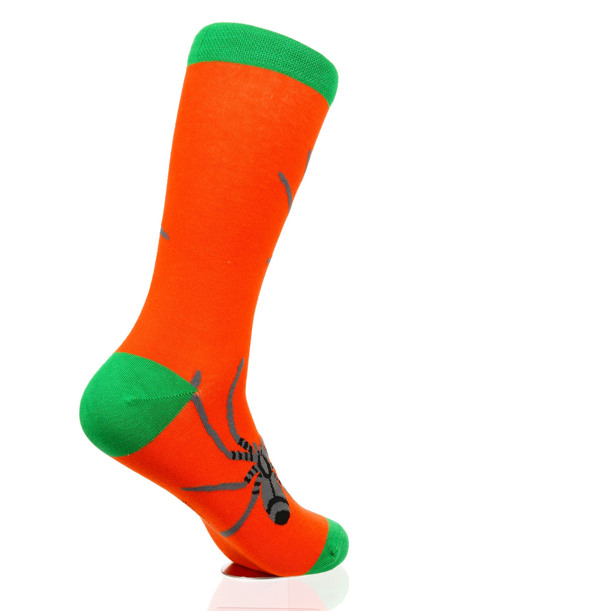 Halloween Spider Crawl