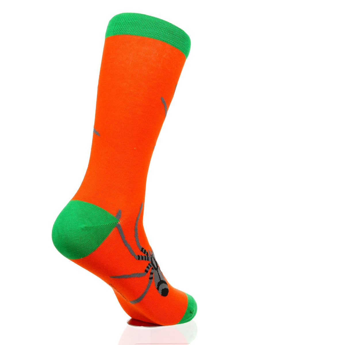 Halloween Spider Crawl