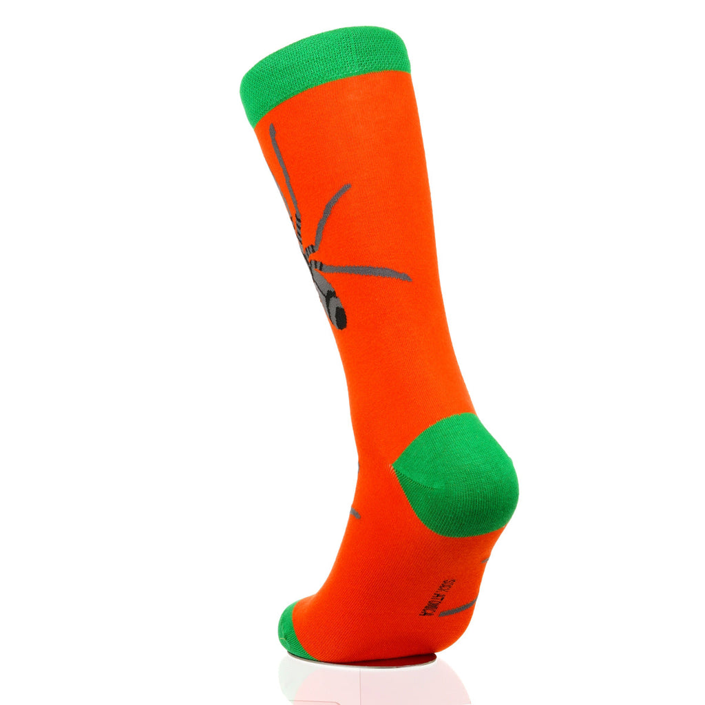 Halloween Spider Crawl