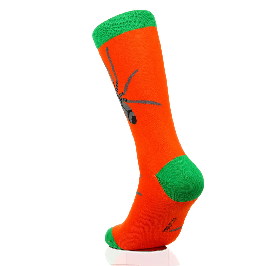 Halloween Spider Crawl