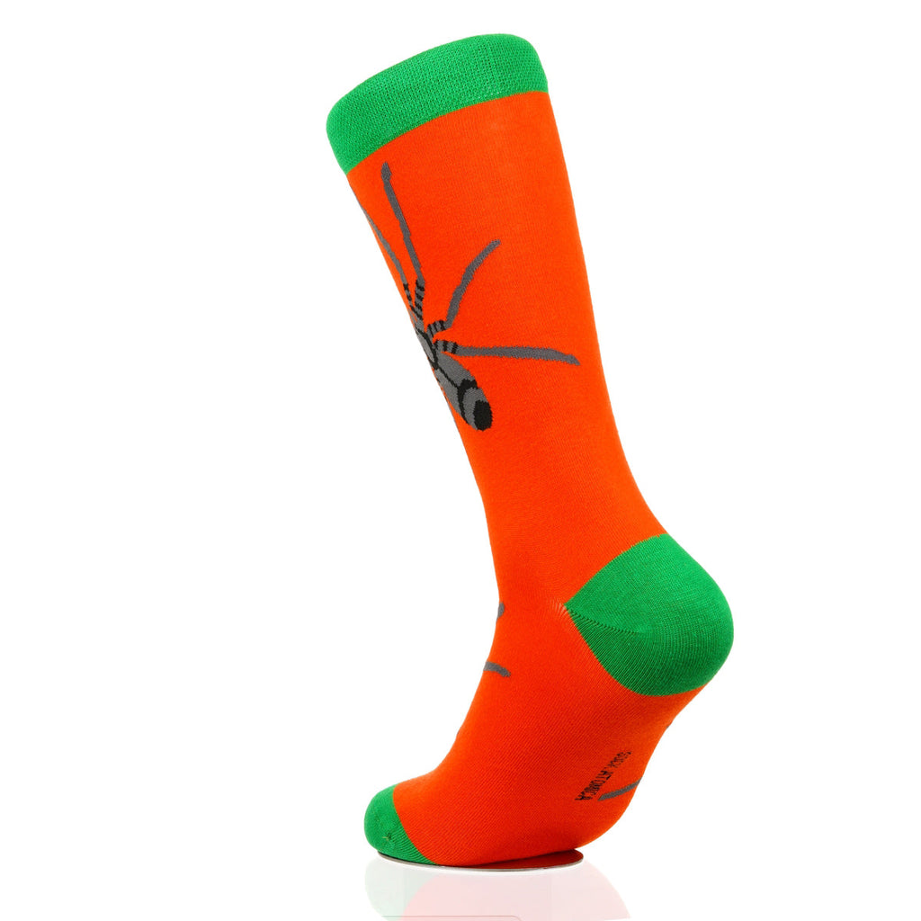 Halloween Spider Crawl