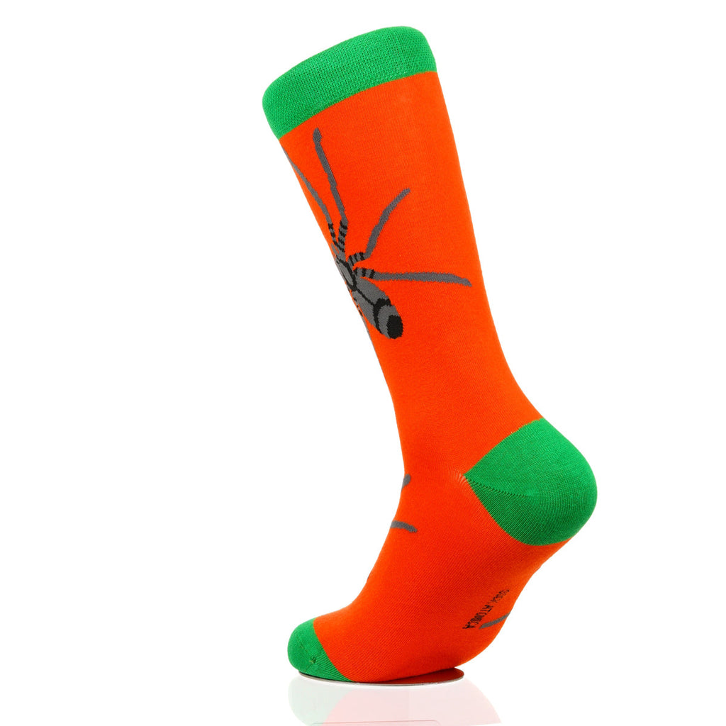 Halloween Spider Crawl