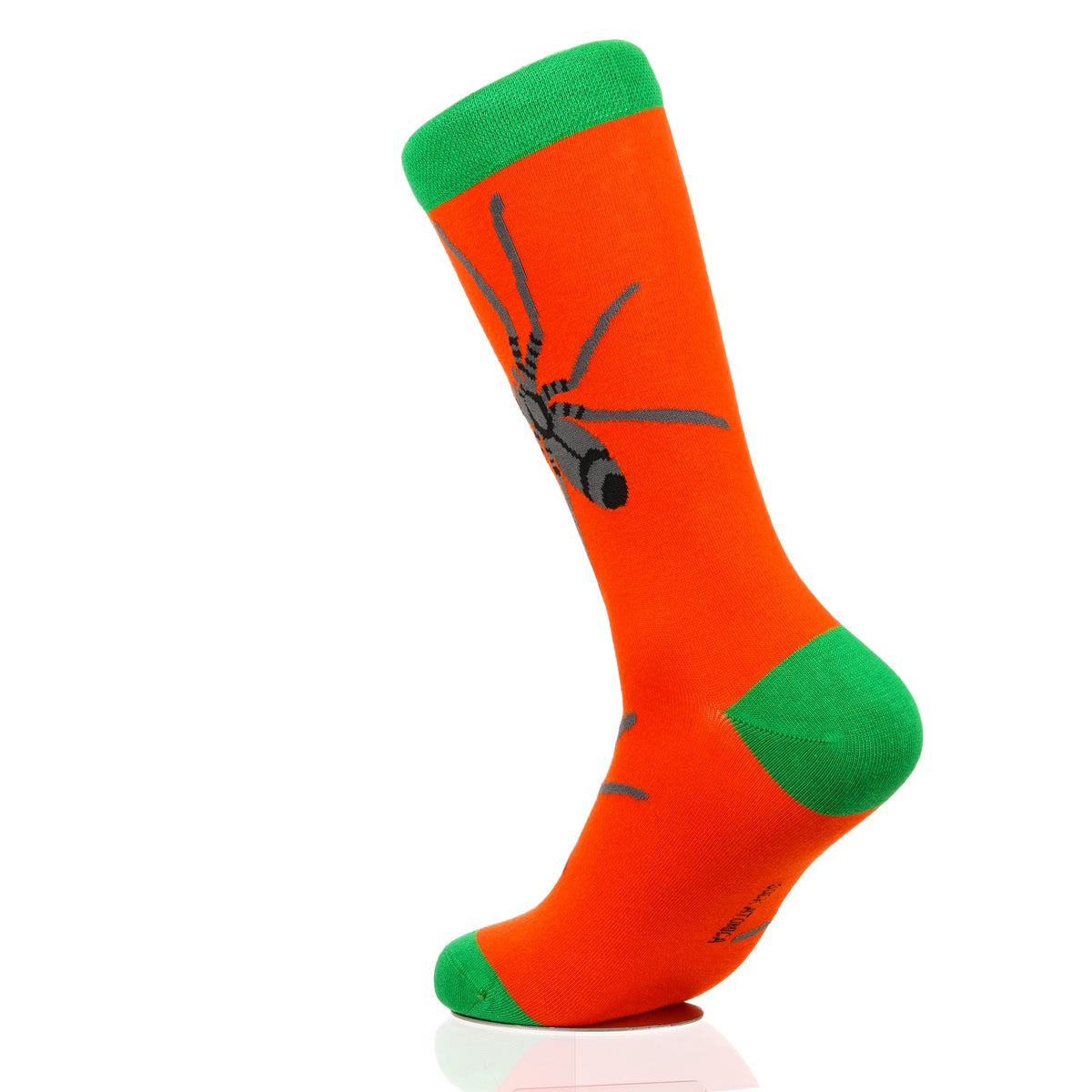 Halloween Spider Crawl