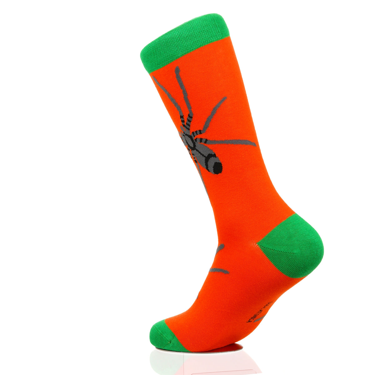 Halloween Spider Crawl