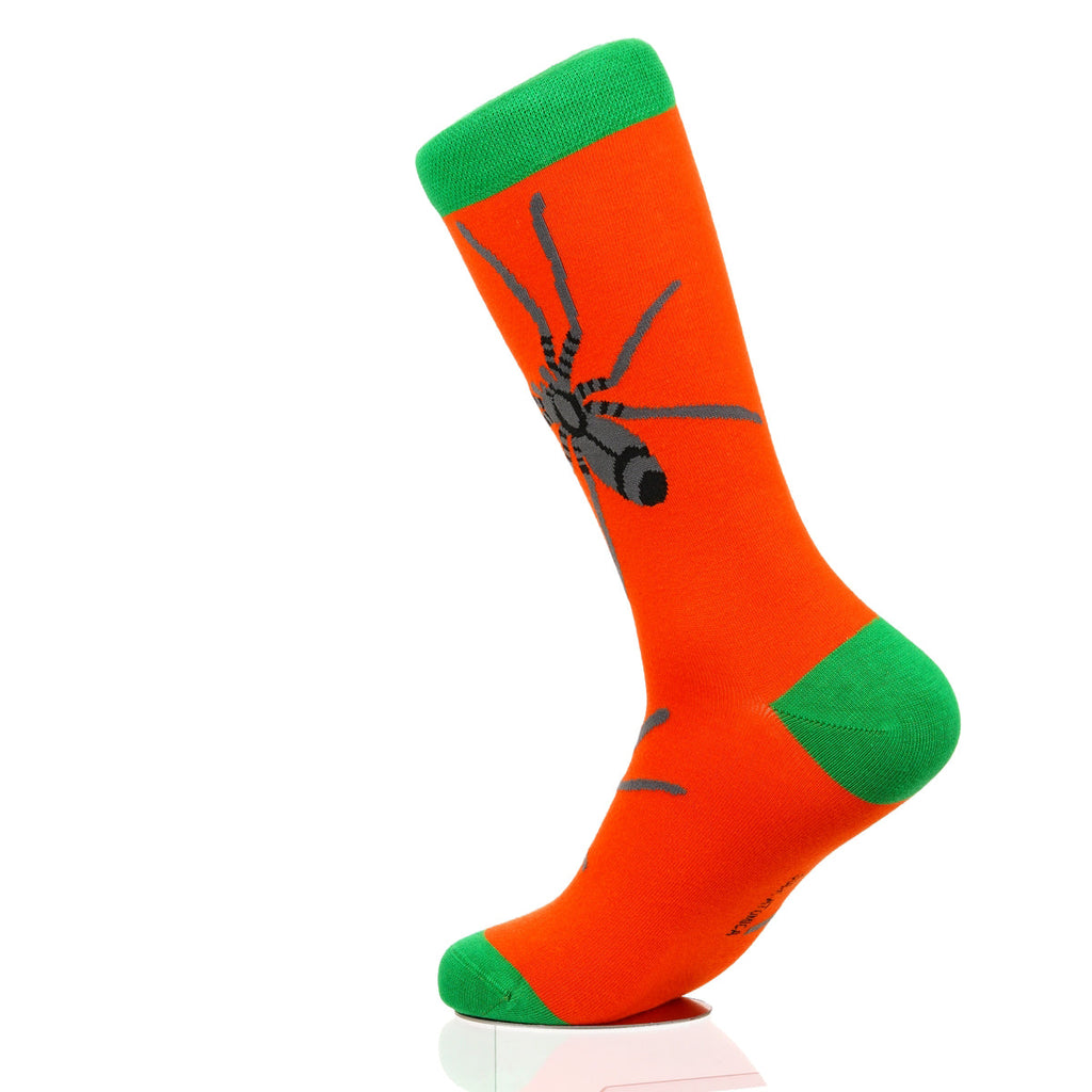 Halloween Spider Crawl