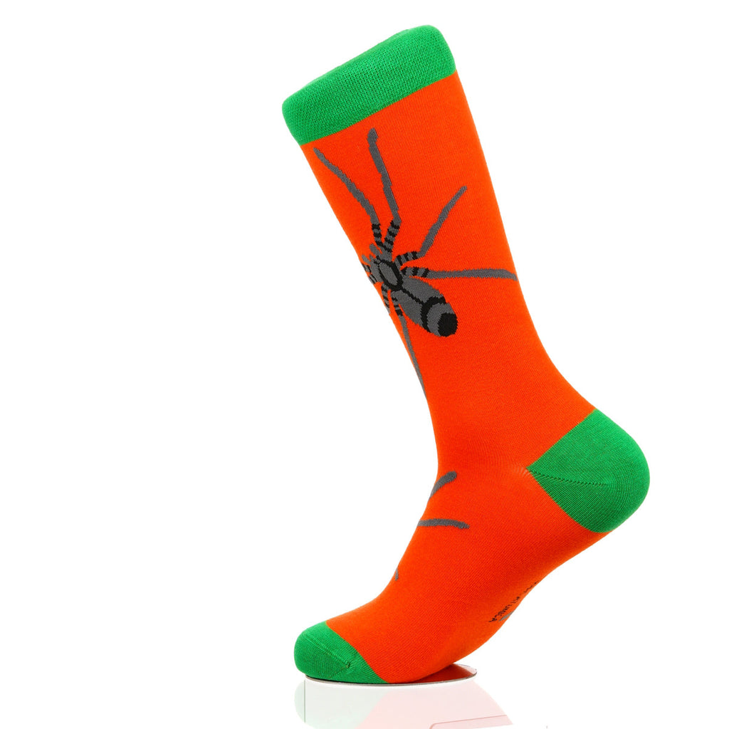 Halloween Spider Crawl