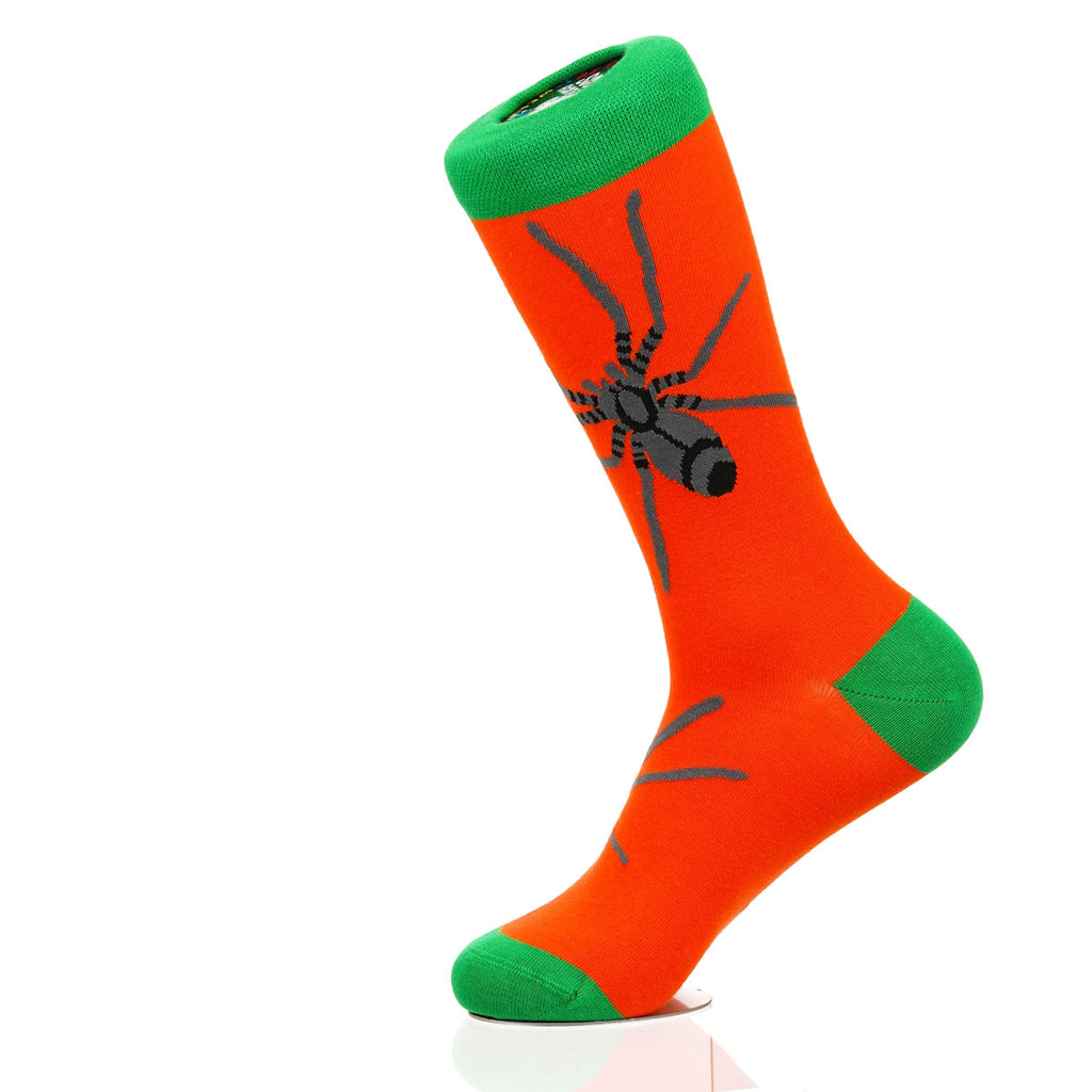 Halloween Spider Crawl