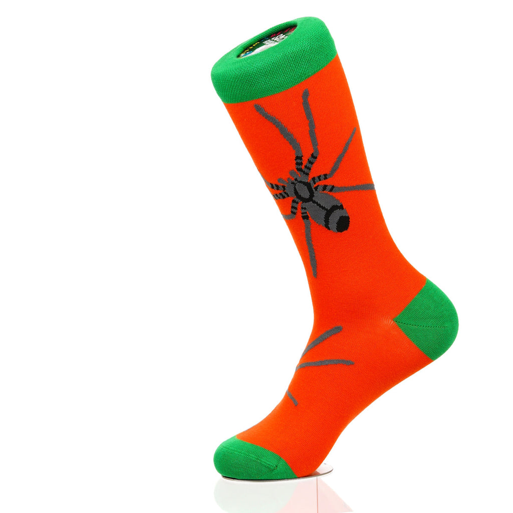 Halloween Spider Crawl