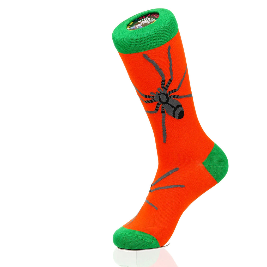 Halloween Spider Crawl