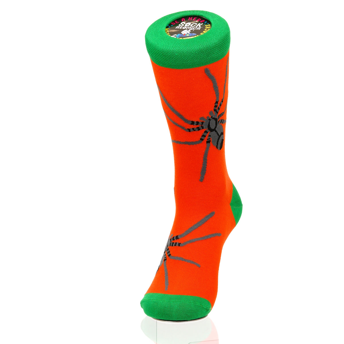 Halloween Spider Crawl