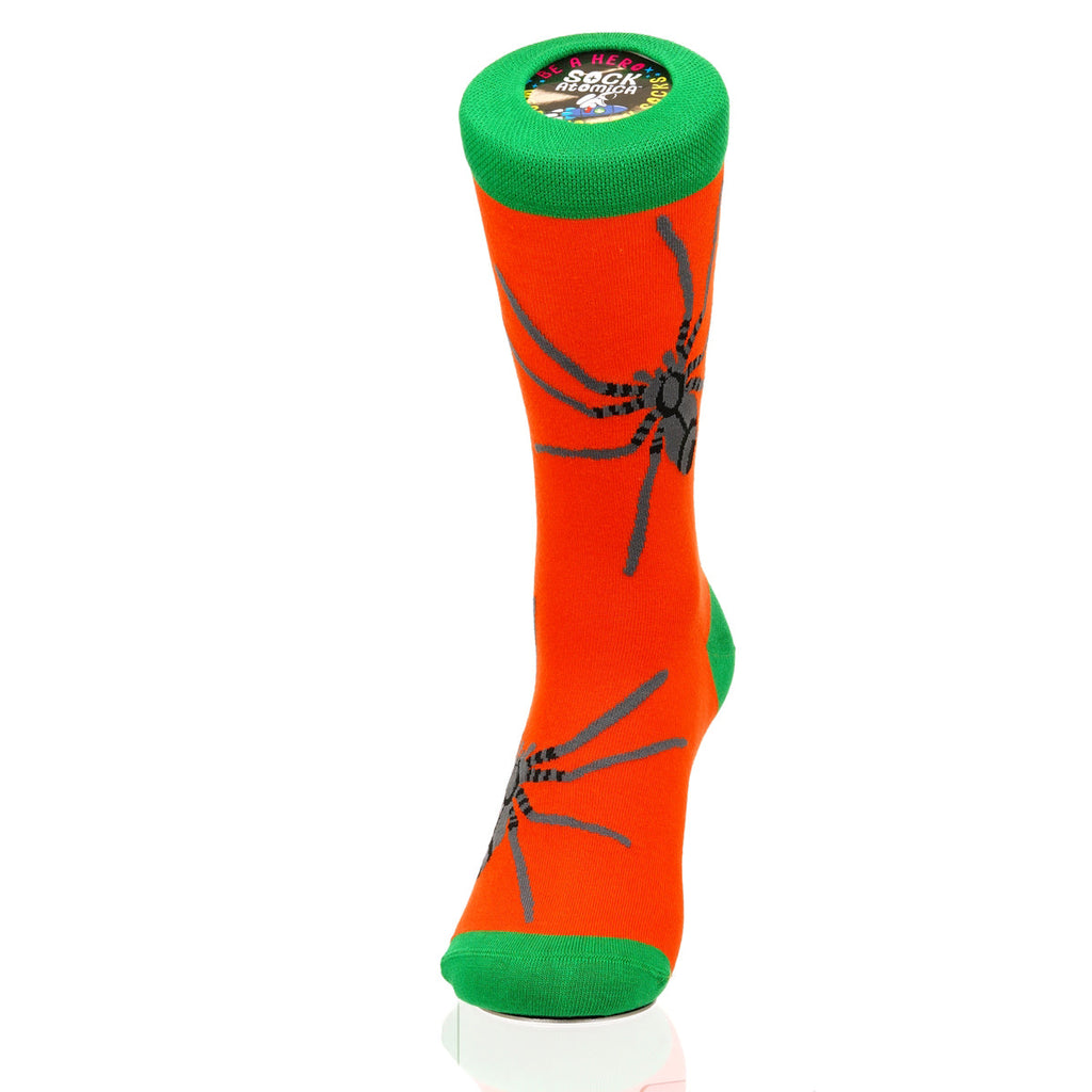 Halloween Spider Crawl