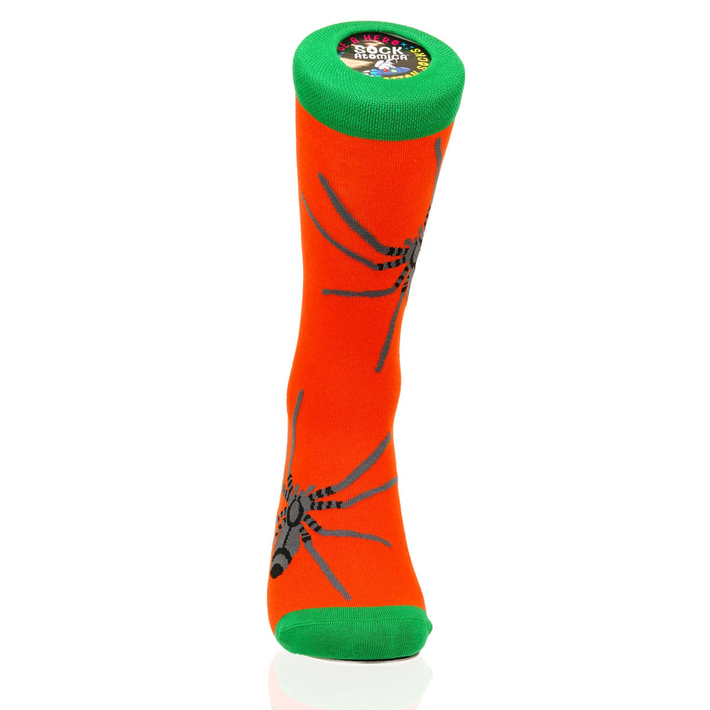 Halloween Spider Crawl