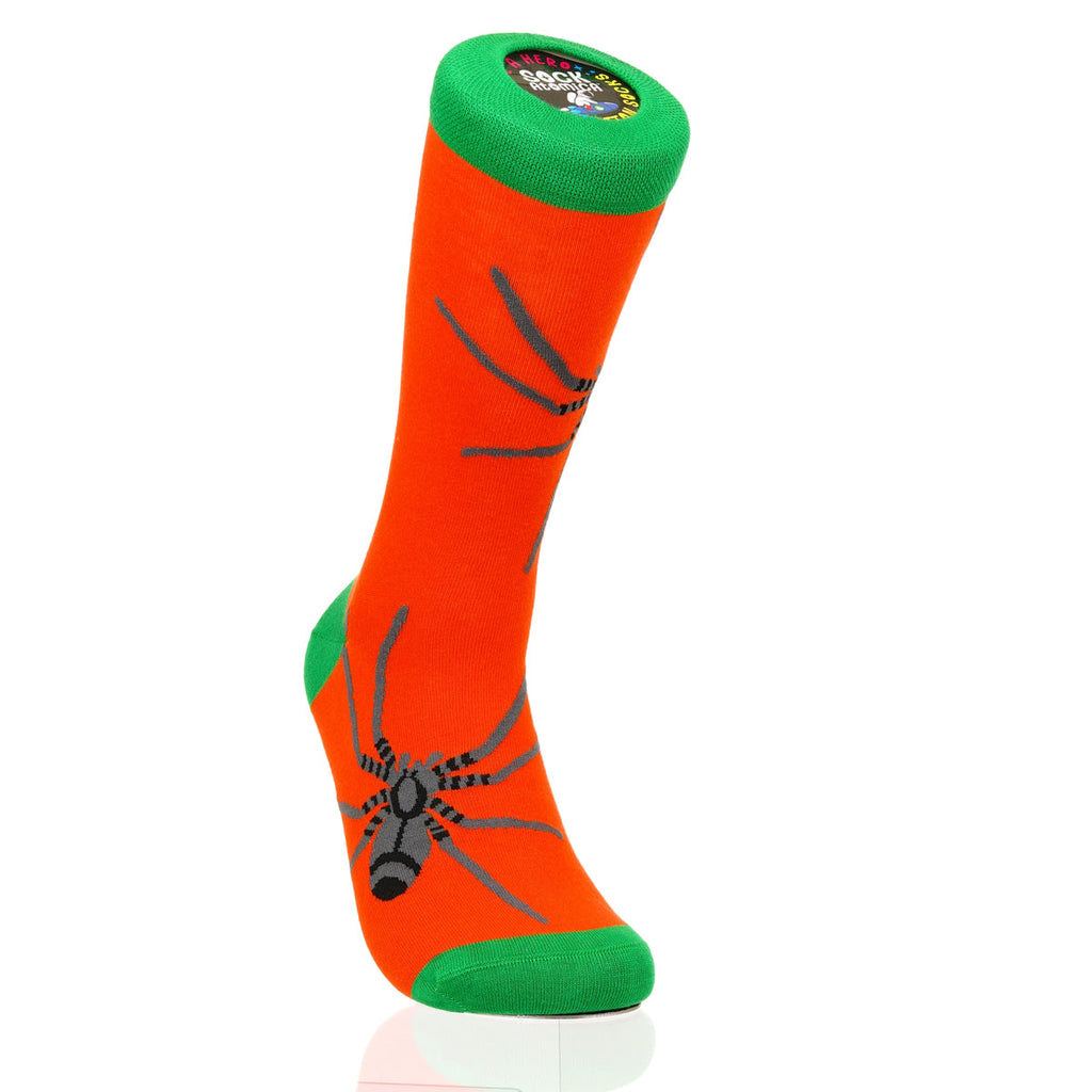 Halloween Spider Crawl