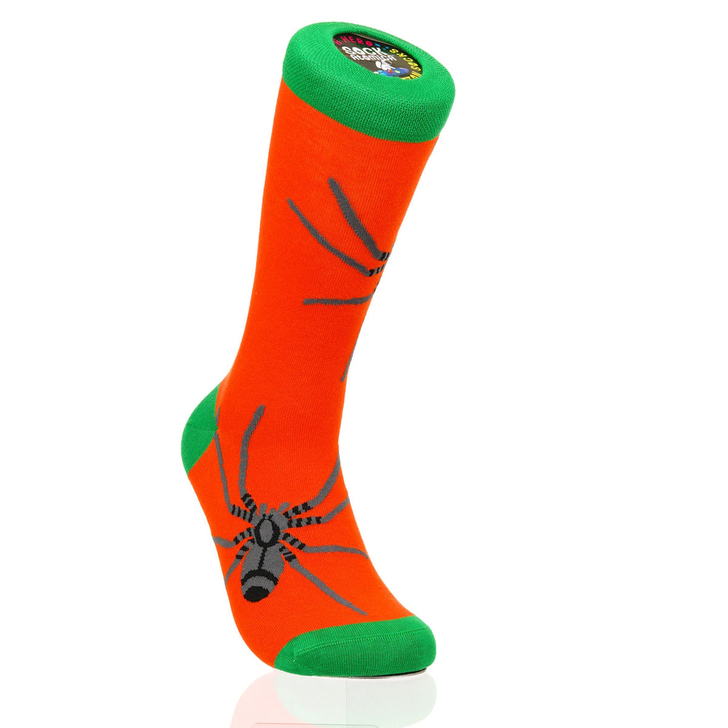 Halloween Spider Crawl