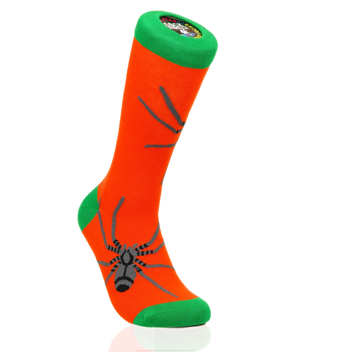 Halloween Spider Crawl