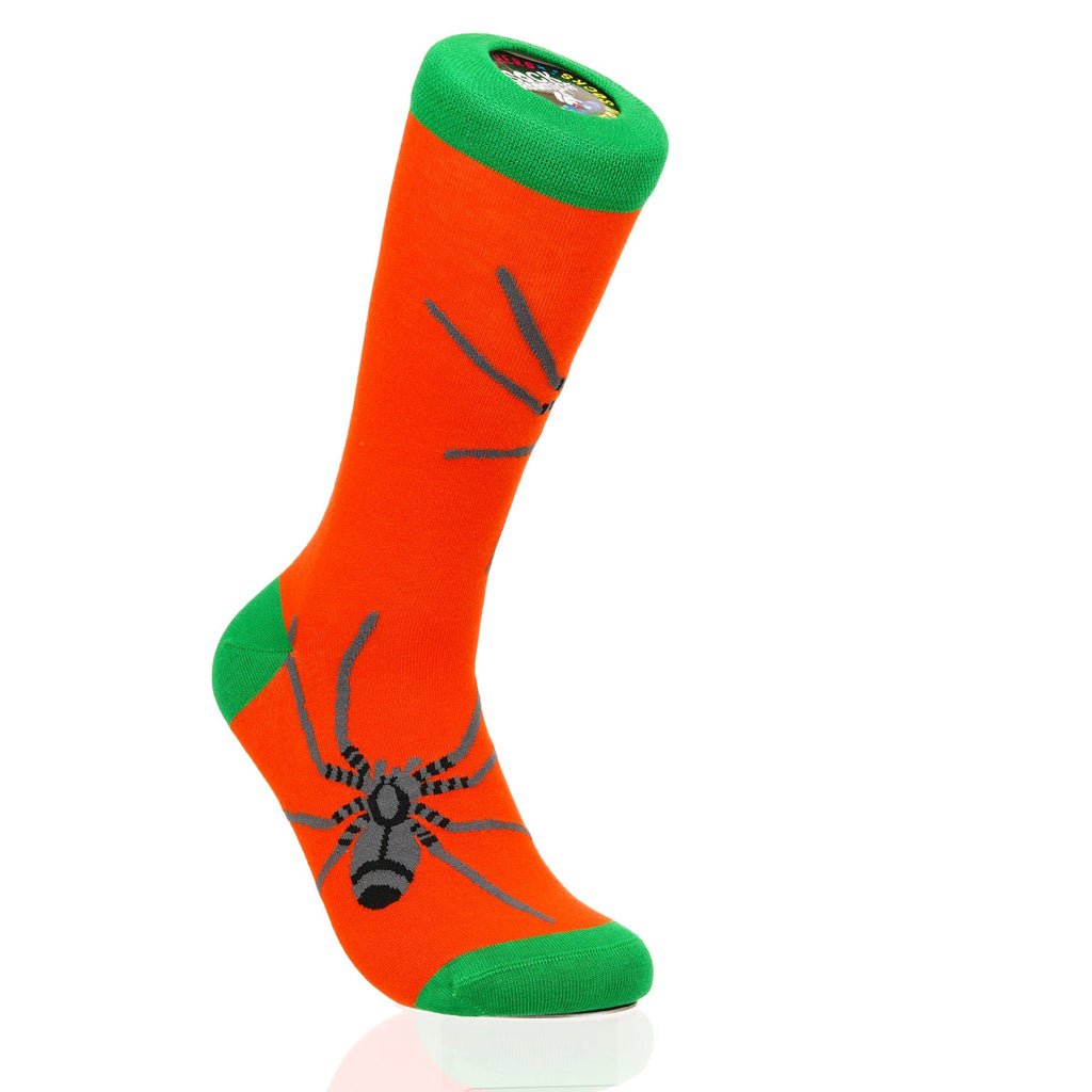 Halloween Spider Crawl