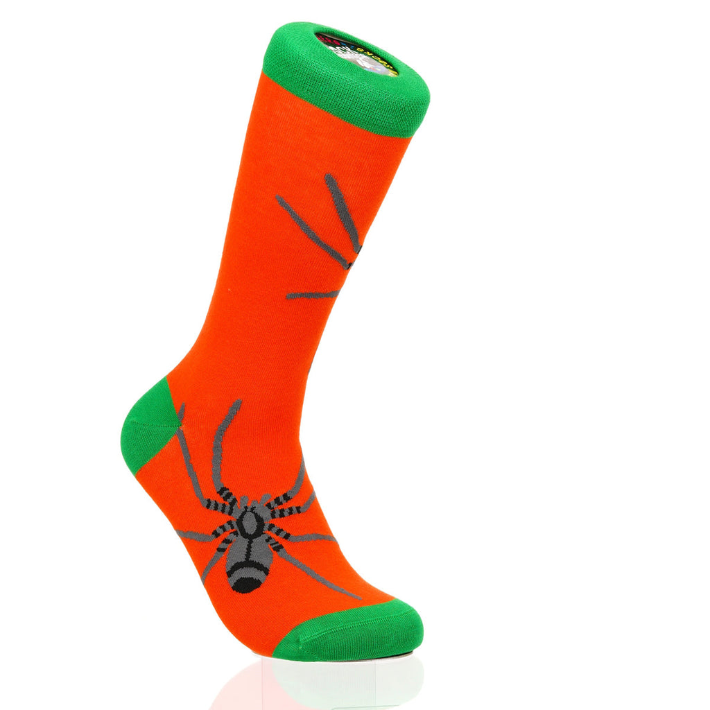 Halloween Spider Crawl