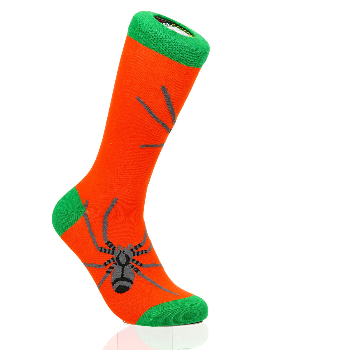 Halloween Spider Crawl