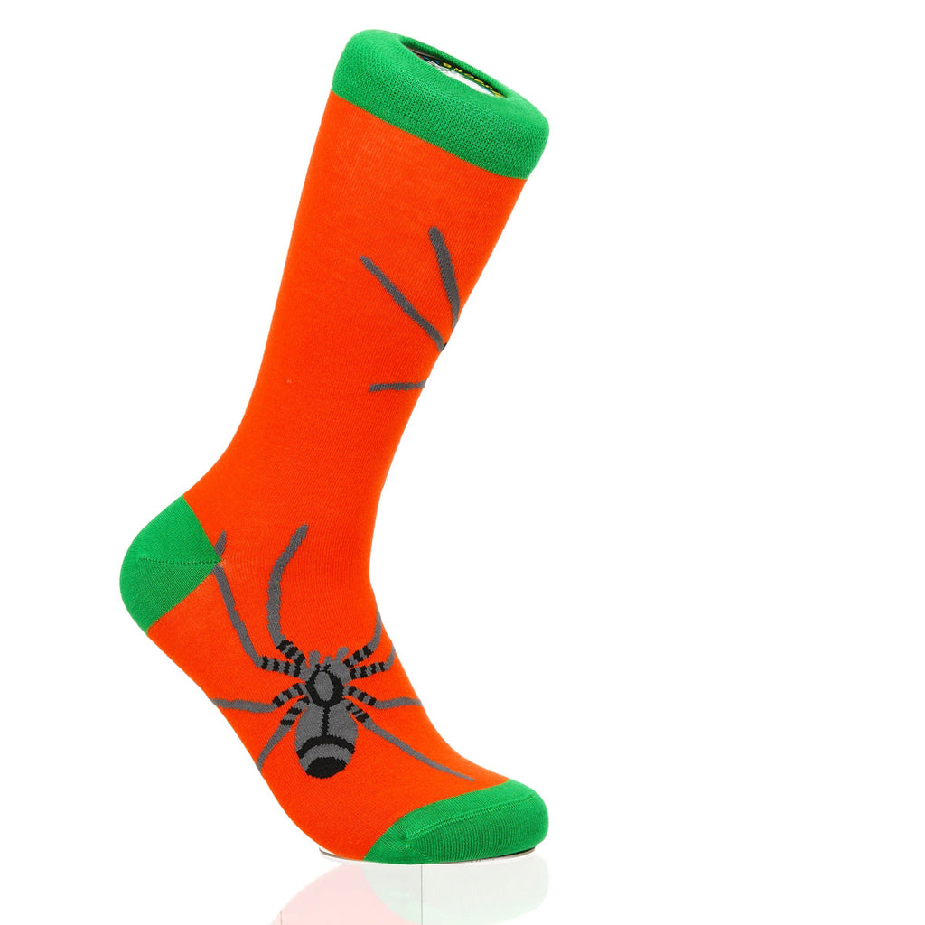 Halloween Spider Crawl