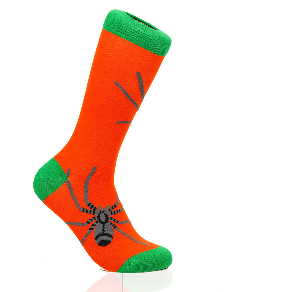 Halloween Spider Crawl