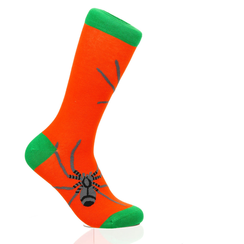 Halloween Spider Crawl