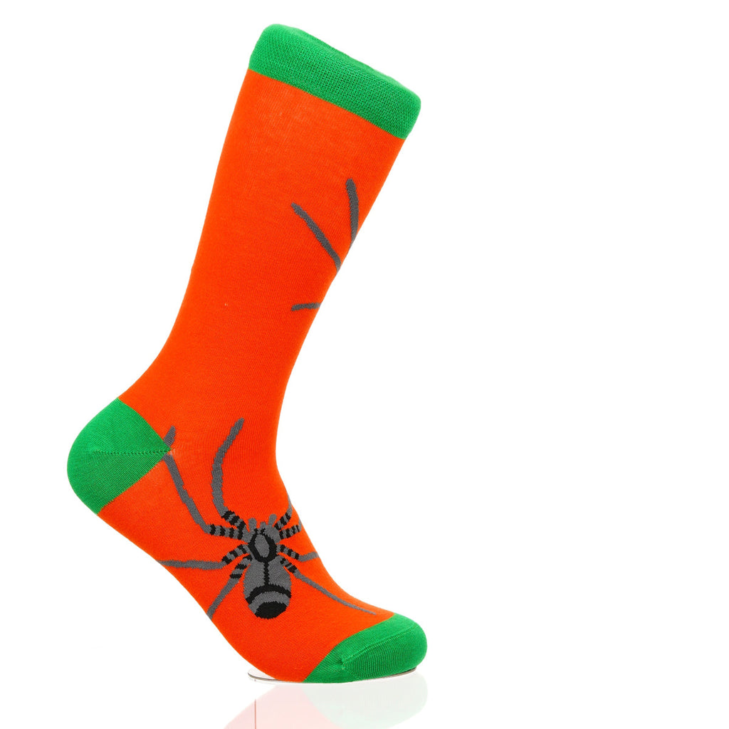 Halloween Spider Crawl