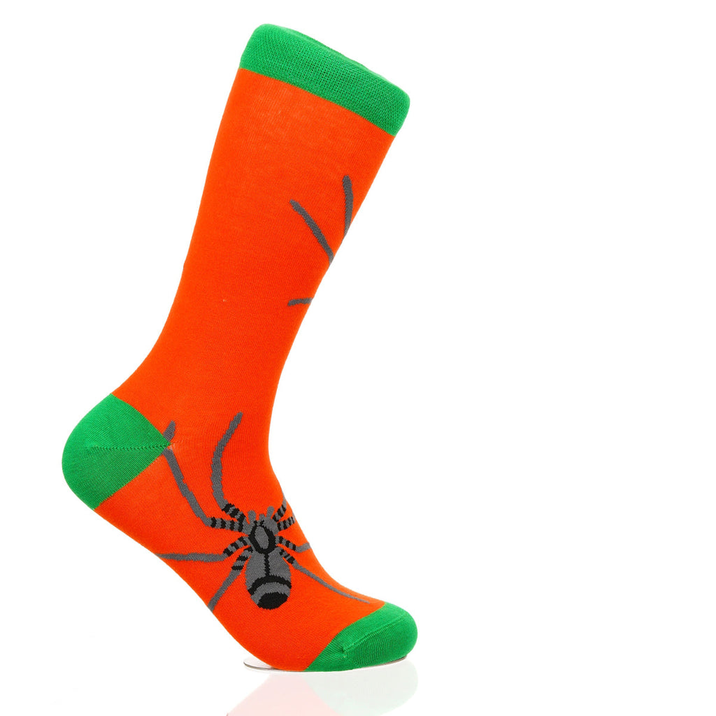 Halloween Spider Crawl